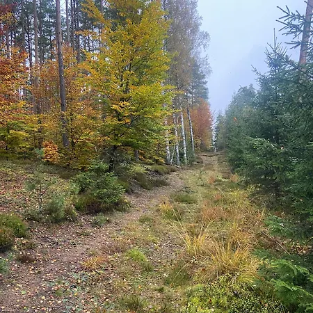 Mazurskidom Zapiecek