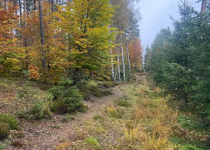 Mazurskidom Zapiecek